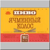 moskaurawniki (182).jpg